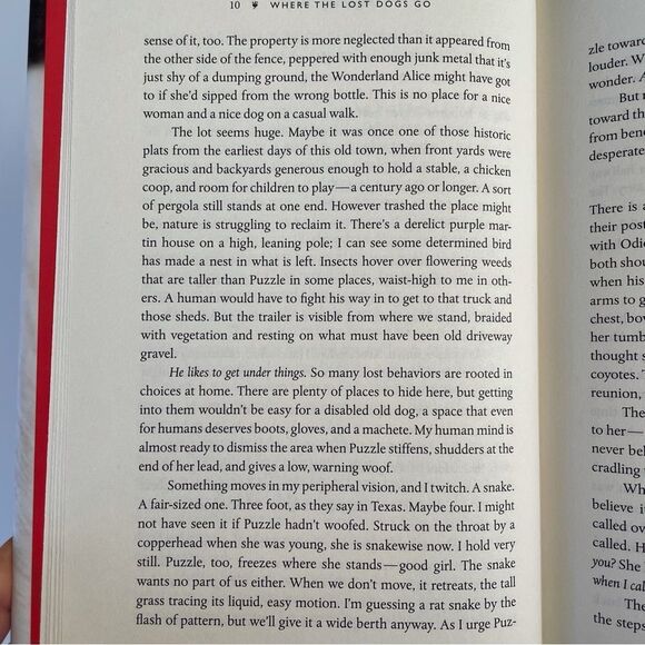 BOOK, Where the Lost Dogs Go, memoir, Susannah Charleston, Hardcover, NOS - Picture 12 of 15